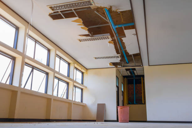 Best Water damage restoration near me  in Bethel Acres, OK
