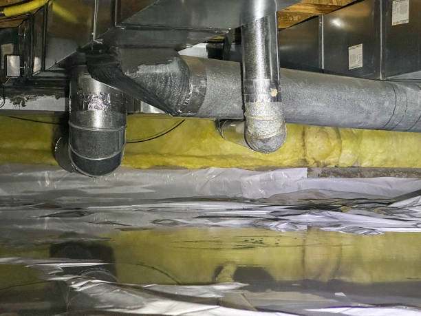 Best Water damage cleanup near me  in Bethel Acres, OK