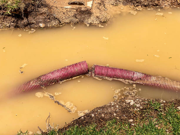 Best Flood damage cleanup  in Bethel Acres, OK